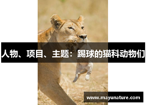 人物、项目、主题：踢球的猫科动物们